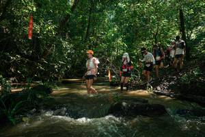 BIB: 
                            <button type="button" onclick="openModal(26783660)" class="btn btn-primary btn-sm float-right btn-popup" data-toggle="modal" data-target=".modal-high-quality">
                        <i class="fas fa-shopping-cart"></i> Add to Cart
                    </button>
                                            <button type="button" onclick="isThisMe(26783660, true)" class="btn btn-success btn-sm float-right btn-popup btn-isme hidden" data-toggle="tooltip" data-placement="bottom" title="นี่คือรูปของคุณใช่ไหม คลิกที่นี่เพื่อเอาเข้าอัลบั้ม">
                        <i class="fas fa-plus"></i> Add to album
                    </button>
                    <button type="button" onclick="isThisMe(26783660, false)" class="btn btn-warning btn-sm float-right btn-popup btn-isnotme hidden">
                        <i class="fas fa-ban"></i> Remove from album
                    </button>