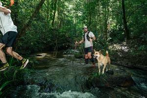 BIB: 
                            <button type="button" onclick="openModal(26678020)" class="btn btn-primary btn-sm float-right btn-popup" data-toggle="modal" data-target=".modal-high-quality">
                        <i class="fas fa-shopping-cart"></i> Add to Cart
                    </button>
                                            <button type="button" onclick="isThisMe(26678020, true)" class="btn btn-success btn-sm float-right btn-popup btn-isme hidden" data-toggle="tooltip" data-placement="bottom" title="นี่คือรูปของคุณใช่ไหม คลิกที่นี่เพื่อเอาเข้าอัลบั้ม">
                        <i class="fas fa-plus"></i> Add to album
                    </button>
                    <button type="button" onclick="isThisMe(26678020, false)" class="btn btn-warning btn-sm float-right btn-popup btn-isnotme hidden">
                        <i class="fas fa-ban"></i> Remove from album
                    </button>