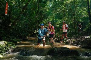 BIB: 
                            <button type="button" onclick="openModal(26783038)" class="btn btn-primary btn-sm float-right btn-popup" data-toggle="modal" data-target=".modal-high-quality">
                        <i class="fas fa-shopping-cart"></i> Add to Cart
                    </button>
                                            <button type="button" onclick="isThisMe(26783038, true)" class="btn btn-success btn-sm float-right btn-popup btn-isme hidden" data-toggle="tooltip" data-placement="bottom" title="นี่คือรูปของคุณใช่ไหม คลิกที่นี่เพื่อเอาเข้าอัลบั้ม">
                        <i class="fas fa-plus"></i> Add to album
                    </button>
                    <button type="button" onclick="isThisMe(26783038, false)" class="btn btn-warning btn-sm float-right btn-popup btn-isnotme hidden">
                        <i class="fas fa-ban"></i> Remove from album
                    </button>