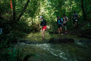 BIB: 
                            <button type="button" onclick="openModal(26784931)" class="btn btn-primary btn-sm float-right btn-popup" data-toggle="modal" data-target=".modal-high-quality">
                        <i class="fas fa-shopping-cart"></i> Add to Cart
                    </button>
                                            <button type="button" onclick="isThisMe(26784931, true)" class="btn btn-success btn-sm float-right btn-popup btn-isme hidden" data-toggle="tooltip" data-placement="bottom" title="นี่คือรูปของคุณใช่ไหม คลิกที่นี่เพื่อเอาเข้าอัลบั้ม">
                        <i class="fas fa-plus"></i> Add to album
                    </button>
                    <button type="button" onclick="isThisMe(26784931, false)" class="btn btn-warning btn-sm float-right btn-popup btn-isnotme hidden">
                        <i class="fas fa-ban"></i> Remove from album
                    </button>