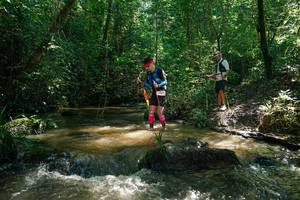 BIB: 
                            <button type="button" onclick="openModal(26782223)" class="btn btn-primary btn-sm float-right btn-popup" data-toggle="modal" data-target=".modal-high-quality">
                        <i class="fas fa-shopping-cart"></i> Add to Cart
                    </button>
                                            <button type="button" onclick="isThisMe(26782223, true)" class="btn btn-success btn-sm float-right btn-popup btn-isme hidden" data-toggle="tooltip" data-placement="bottom" title="นี่คือรูปของคุณใช่ไหม คลิกที่นี่เพื่อเอาเข้าอัลบั้ม">
                        <i class="fas fa-plus"></i> Add to album
                    </button>
                    <button type="button" onclick="isThisMe(26782223, false)" class="btn btn-warning btn-sm float-right btn-popup btn-isnotme hidden">
                        <i class="fas fa-ban"></i> Remove from album
                    </button>