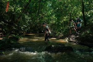 BIB: 
                            <button type="button" onclick="openModal(26783614)" class="btn btn-primary btn-sm float-right btn-popup" data-toggle="modal" data-target=".modal-high-quality">
                        <i class="fas fa-shopping-cart"></i> Add to Cart
                    </button>
                                            <button type="button" onclick="isThisMe(26783614, true)" class="btn btn-success btn-sm float-right btn-popup btn-isme hidden" data-toggle="tooltip" data-placement="bottom" title="นี่คือรูปของคุณใช่ไหม คลิกที่นี่เพื่อเอาเข้าอัลบั้ม">
                        <i class="fas fa-plus"></i> Add to album
                    </button>
                    <button type="button" onclick="isThisMe(26783614, false)" class="btn btn-warning btn-sm float-right btn-popup btn-isnotme hidden">
                        <i class="fas fa-ban"></i> Remove from album
                    </button>