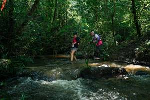 BIB: 
                            <button type="button" onclick="openModal(26778909)" class="btn btn-primary btn-sm float-right btn-popup" data-toggle="modal" data-target=".modal-high-quality">
                        <i class="fas fa-shopping-cart"></i> Add to Cart
                    </button>
                                            <button type="button" onclick="isThisMe(26778909, true)" class="btn btn-success btn-sm float-right btn-popup btn-isme hidden" data-toggle="tooltip" data-placement="bottom" title="นี่คือรูปของคุณใช่ไหม คลิกที่นี่เพื่อเอาเข้าอัลบั้ม">
                        <i class="fas fa-plus"></i> Add to album
                    </button>
                    <button type="button" onclick="isThisMe(26778909, false)" class="btn btn-warning btn-sm float-right btn-popup btn-isnotme hidden">
                        <i class="fas fa-ban"></i> Remove from album
                    </button>