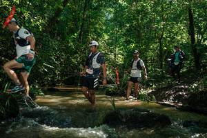 BIB: 
                            <button type="button" onclick="openModal(26783505)" class="btn btn-primary btn-sm float-right btn-popup" data-toggle="modal" data-target=".modal-high-quality">
                        <i class="fas fa-shopping-cart"></i> Add to Cart
                    </button>
                                            <button type="button" onclick="isThisMe(26783505, true)" class="btn btn-success btn-sm float-right btn-popup btn-isme hidden" data-toggle="tooltip" data-placement="bottom" title="นี่คือรูปของคุณใช่ไหม คลิกที่นี่เพื่อเอาเข้าอัลบั้ม">
                        <i class="fas fa-plus"></i> Add to album
                    </button>
                    <button type="button" onclick="isThisMe(26783505, false)" class="btn btn-warning btn-sm float-right btn-popup btn-isnotme hidden">
                        <i class="fas fa-ban"></i> Remove from album
                    </button>