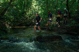 BIB: 
                            <button type="button" onclick="openModal(26777230)" class="btn btn-primary btn-sm float-right btn-popup" data-toggle="modal" data-target=".modal-high-quality">
                        <i class="fas fa-shopping-cart"></i> Add to Cart
                    </button>
                                            <button type="button" onclick="isThisMe(26777230, true)" class="btn btn-success btn-sm float-right btn-popup btn-isme hidden" data-toggle="tooltip" data-placement="bottom" title="นี่คือรูปของคุณใช่ไหม คลิกที่นี่เพื่อเอาเข้าอัลบั้ม">
                        <i class="fas fa-plus"></i> Add to album
                    </button>
                    <button type="button" onclick="isThisMe(26777230, false)" class="btn btn-warning btn-sm float-right btn-popup btn-isnotme hidden">
                        <i class="fas fa-ban"></i> Remove from album
                    </button>