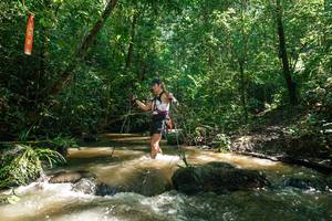 BIB: 
                            <button type="button" onclick="openModal(26782794)" class="btn btn-primary btn-sm float-right btn-popup" data-toggle="modal" data-target=".modal-high-quality">
                        <i class="fas fa-shopping-cart"></i> Add to Cart
                    </button>
                                            <button type="button" onclick="isThisMe(26782794, true)" class="btn btn-success btn-sm float-right btn-popup btn-isme hidden" data-toggle="tooltip" data-placement="bottom" title="นี่คือรูปของคุณใช่ไหม คลิกที่นี่เพื่อเอาเข้าอัลบั้ม">
                        <i class="fas fa-plus"></i> Add to album
                    </button>
                    <button type="button" onclick="isThisMe(26782794, false)" class="btn btn-warning btn-sm float-right btn-popup btn-isnotme hidden">
                        <i class="fas fa-ban"></i> Remove from album
                    </button>