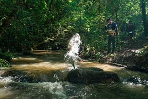 BIB: 
                            <button type="button" onclick="openModal(26782937)" class="btn btn-primary btn-sm float-right btn-popup" data-toggle="modal" data-target=".modal-high-quality">
                        <i class="fas fa-shopping-cart"></i> Add to Cart
                    </button>
                                            <button type="button" onclick="isThisMe(26782937, true)" class="btn btn-success btn-sm float-right btn-popup btn-isme hidden" data-toggle="tooltip" data-placement="bottom" title="นี่คือรูปของคุณใช่ไหม คลิกที่นี่เพื่อเอาเข้าอัลบั้ม">
                        <i class="fas fa-plus"></i> Add to album
                    </button>
                    <button type="button" onclick="isThisMe(26782937, false)" class="btn btn-warning btn-sm float-right btn-popup btn-isnotme hidden">
                        <i class="fas fa-ban"></i> Remove from album
                    </button>