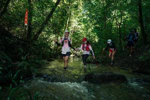 BIB: 
                            <button type="button" onclick="openModal(26784925)" class="btn btn-primary btn-sm float-right btn-popup" data-toggle="modal" data-target=".modal-high-quality">
                        <i class="fas fa-shopping-cart"></i> Add to Cart
                    </button>
                                            <button type="button" onclick="isThisMe(26784925, true)" class="btn btn-success btn-sm float-right btn-popup btn-isme hidden" data-toggle="tooltip" data-placement="bottom" title="นี่คือรูปของคุณใช่ไหม คลิกที่นี่เพื่อเอาเข้าอัลบั้ม">
                        <i class="fas fa-plus"></i> Add to album
                    </button>
                    <button type="button" onclick="isThisMe(26784925, false)" class="btn btn-warning btn-sm float-right btn-popup btn-isnotme hidden">
                        <i class="fas fa-ban"></i> Remove from album
                    </button>