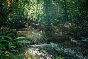 BIB: 
                            <button type="button" onclick="openModal(26666291)" class="btn btn-primary btn-sm float-right btn-popup" data-toggle="modal" data-target=".modal-high-quality">
                        <i class="fas fa-shopping-cart"></i> Add to Cart
                    </button>
                                            <button type="button" onclick="isThisMe(26666291, true)" class="btn btn-success btn-sm float-right btn-popup btn-isme hidden" data-toggle="tooltip" data-placement="bottom" title="นี่คือรูปของคุณใช่ไหม คลิกที่นี่เพื่อเอาเข้าอัลบั้ม">
                        <i class="fas fa-plus"></i> Add to album
                    </button>
                    <button type="button" onclick="isThisMe(26666291, false)" class="btn btn-warning btn-sm float-right btn-popup btn-isnotme hidden">
                        <i class="fas fa-ban"></i> Remove from album
                    </button>