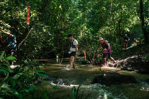 BIB: 
                            <button type="button" onclick="openModal(26783759)" class="btn btn-primary btn-sm float-right btn-popup" data-toggle="modal" data-target=".modal-high-quality">
                        <i class="fas fa-shopping-cart"></i> Add to Cart
                    </button>
                                            <button type="button" onclick="isThisMe(26783759, true)" class="btn btn-success btn-sm float-right btn-popup btn-isme hidden" data-toggle="tooltip" data-placement="bottom" title="นี่คือรูปของคุณใช่ไหม คลิกที่นี่เพื่อเอาเข้าอัลบั้ม">
                        <i class="fas fa-plus"></i> Add to album
                    </button>
                    <button type="button" onclick="isThisMe(26783759, false)" class="btn btn-warning btn-sm float-right btn-popup btn-isnotme hidden">
                        <i class="fas fa-ban"></i> Remove from album
                    </button>