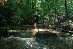 BIB: 
                            <button type="button" onclick="openModal(26779629)" class="btn btn-primary btn-sm float-right btn-popup" data-toggle="modal" data-target=".modal-high-quality">
                        <i class="fas fa-shopping-cart"></i> Add to Cart
                    </button>
                                            <button type="button" onclick="isThisMe(26779629, true)" class="btn btn-success btn-sm float-right btn-popup btn-isme hidden" data-toggle="tooltip" data-placement="bottom" title="นี่คือรูปของคุณใช่ไหม คลิกที่นี่เพื่อเอาเข้าอัลบั้ม">
                        <i class="fas fa-plus"></i> Add to album
                    </button>
                    <button type="button" onclick="isThisMe(26779629, false)" class="btn btn-warning btn-sm float-right btn-popup btn-isnotme hidden">
                        <i class="fas fa-ban"></i> Remove from album
                    </button>