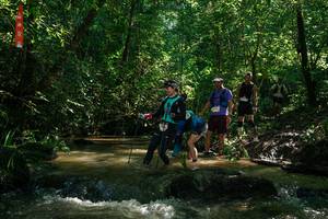 BIB: 
                            <button type="button" onclick="openModal(26783542)" class="btn btn-primary btn-sm float-right btn-popup" data-toggle="modal" data-target=".modal-high-quality">
                        <i class="fas fa-shopping-cart"></i> Add to Cart
                    </button>
                                            <button type="button" onclick="isThisMe(26783542, true)" class="btn btn-success btn-sm float-right btn-popup btn-isme hidden" data-toggle="tooltip" data-placement="bottom" title="นี่คือรูปของคุณใช่ไหม คลิกที่นี่เพื่อเอาเข้าอัลบั้ม">
                        <i class="fas fa-plus"></i> Add to album
                    </button>
                    <button type="button" onclick="isThisMe(26783542, false)" class="btn btn-warning btn-sm float-right btn-popup btn-isnotme hidden">
                        <i class="fas fa-ban"></i> Remove from album
                    </button>