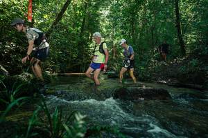 BIB: 
                            <button type="button" onclick="openModal(26705529)" class="btn btn-primary btn-sm float-right btn-popup" data-toggle="modal" data-target=".modal-high-quality">
                        <i class="fas fa-shopping-cart"></i> Add to Cart
                    </button>
                                            <button type="button" onclick="isThisMe(26705529, true)" class="btn btn-success btn-sm float-right btn-popup btn-isme hidden" data-toggle="tooltip" data-placement="bottom" title="นี่คือรูปของคุณใช่ไหม คลิกที่นี่เพื่อเอาเข้าอัลบั้ม">
                        <i class="fas fa-plus"></i> Add to album
                    </button>
                    <button type="button" onclick="isThisMe(26705529, false)" class="btn btn-warning btn-sm float-right btn-popup btn-isnotme hidden">
                        <i class="fas fa-ban"></i> Remove from album
                    </button>