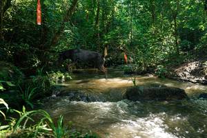 BIB: 
                            <button type="button" onclick="openModal(26782080)" class="btn btn-primary btn-sm float-right btn-popup" data-toggle="modal" data-target=".modal-high-quality">
                        <i class="fas fa-shopping-cart"></i> Add to Cart
                    </button>
                                            <button type="button" onclick="isThisMe(26782080, true)" class="btn btn-success btn-sm float-right btn-popup btn-isme hidden" data-toggle="tooltip" data-placement="bottom" title="นี่คือรูปของคุณใช่ไหม คลิกที่นี่เพื่อเอาเข้าอัลบั้ม">
                        <i class="fas fa-plus"></i> Add to album
                    </button>
                    <button type="button" onclick="isThisMe(26782080, false)" class="btn btn-warning btn-sm float-right btn-popup btn-isnotme hidden">
                        <i class="fas fa-ban"></i> Remove from album
                    </button>