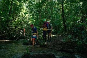 BIB: 
                            <button type="button" onclick="openModal(26777242)" class="btn btn-primary btn-sm float-right btn-popup" data-toggle="modal" data-target=".modal-high-quality">
                        <i class="fas fa-shopping-cart"></i> Add to Cart
                    </button>
                                            <button type="button" onclick="isThisMe(26777242, true)" class="btn btn-success btn-sm float-right btn-popup btn-isme hidden" data-toggle="tooltip" data-placement="bottom" title="นี่คือรูปของคุณใช่ไหม คลิกที่นี่เพื่อเอาเข้าอัลบั้ม">
                        <i class="fas fa-plus"></i> Add to album
                    </button>
                    <button type="button" onclick="isThisMe(26777242, false)" class="btn btn-warning btn-sm float-right btn-popup btn-isnotme hidden">
                        <i class="fas fa-ban"></i> Remove from album
                    </button>