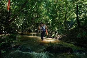 BIB: 
                            <button type="button" onclick="openModal(26784028)" class="btn btn-primary btn-sm float-right btn-popup" data-toggle="modal" data-target=".modal-high-quality">
                        <i class="fas fa-shopping-cart"></i> Add to Cart
                    </button>
                                            <button type="button" onclick="isThisMe(26784028, true)" class="btn btn-success btn-sm float-right btn-popup btn-isme hidden" data-toggle="tooltip" data-placement="bottom" title="นี่คือรูปของคุณใช่ไหม คลิกที่นี่เพื่อเอาเข้าอัลบั้ม">
                        <i class="fas fa-plus"></i> Add to album
                    </button>
                    <button type="button" onclick="isThisMe(26784028, false)" class="btn btn-warning btn-sm float-right btn-popup btn-isnotme hidden">
                        <i class="fas fa-ban"></i> Remove from album
                    </button>