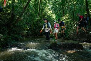 BIB: 
                            <button type="button" onclick="openModal(26778295)" class="btn btn-primary btn-sm float-right btn-popup" data-toggle="modal" data-target=".modal-high-quality">
                        <i class="fas fa-shopping-cart"></i> Add to Cart
                    </button>
                                            <button type="button" onclick="isThisMe(26778295, true)" class="btn btn-success btn-sm float-right btn-popup btn-isme hidden" data-toggle="tooltip" data-placement="bottom" title="นี่คือรูปของคุณใช่ไหม คลิกที่นี่เพื่อเอาเข้าอัลบั้ม">
                        <i class="fas fa-plus"></i> Add to album
                    </button>
                    <button type="button" onclick="isThisMe(26778295, false)" class="btn btn-warning btn-sm float-right btn-popup btn-isnotme hidden">
                        <i class="fas fa-ban"></i> Remove from album
                    </button>