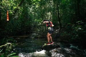 BIB: 
                            <button type="button" onclick="openModal(26687076)" class="btn btn-primary btn-sm float-right btn-popup" data-toggle="modal" data-target=".modal-high-quality">
                        <i class="fas fa-shopping-cart"></i> Add to Cart
                    </button>
                                            <button type="button" onclick="isThisMe(26687076, true)" class="btn btn-success btn-sm float-right btn-popup btn-isme hidden" data-toggle="tooltip" data-placement="bottom" title="นี่คือรูปของคุณใช่ไหม คลิกที่นี่เพื่อเอาเข้าอัลบั้ม">
                        <i class="fas fa-plus"></i> Add to album
                    </button>
                    <button type="button" onclick="isThisMe(26687076, false)" class="btn btn-warning btn-sm float-right btn-popup btn-isnotme hidden">
                        <i class="fas fa-ban"></i> Remove from album
                    </button>