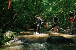 BIB: 
                            <button type="button" onclick="openModal(26782909)" class="btn btn-primary btn-sm float-right btn-popup" data-toggle="modal" data-target=".modal-high-quality">
                        <i class="fas fa-shopping-cart"></i> Add to Cart
                    </button>
                                            <button type="button" onclick="isThisMe(26782909, true)" class="btn btn-success btn-sm float-right btn-popup btn-isme hidden" data-toggle="tooltip" data-placement="bottom" title="นี่คือรูปของคุณใช่ไหม คลิกที่นี่เพื่อเอาเข้าอัลบั้ม">
                        <i class="fas fa-plus"></i> Add to album
                    </button>
                    <button type="button" onclick="isThisMe(26782909, false)" class="btn btn-warning btn-sm float-right btn-popup btn-isnotme hidden">
                        <i class="fas fa-ban"></i> Remove from album
                    </button>