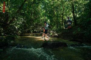 BIB: 
                            <button type="button" onclick="openModal(26784092)" class="btn btn-primary btn-sm float-right btn-popup" data-toggle="modal" data-target=".modal-high-quality">
                        <i class="fas fa-shopping-cart"></i> Add to Cart
                    </button>
                                            <button type="button" onclick="isThisMe(26784092, true)" class="btn btn-success btn-sm float-right btn-popup btn-isme hidden" data-toggle="tooltip" data-placement="bottom" title="นี่คือรูปของคุณใช่ไหม คลิกที่นี่เพื่อเอาเข้าอัลบั้ม">
                        <i class="fas fa-plus"></i> Add to album
                    </button>
                    <button type="button" onclick="isThisMe(26784092, false)" class="btn btn-warning btn-sm float-right btn-popup btn-isnotme hidden">
                        <i class="fas fa-ban"></i> Remove from album
                    </button>