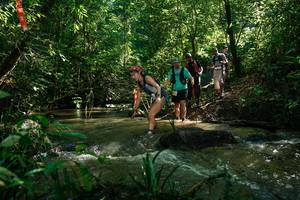 BIB: 
                            <button type="button" onclick="openModal(26783833)" class="btn btn-primary btn-sm float-right btn-popup" data-toggle="modal" data-target=".modal-high-quality">
                        <i class="fas fa-shopping-cart"></i> Add to Cart
                    </button>
                                            <button type="button" onclick="isThisMe(26783833, true)" class="btn btn-success btn-sm float-right btn-popup btn-isme hidden" data-toggle="tooltip" data-placement="bottom" title="นี่คือรูปของคุณใช่ไหม คลิกที่นี่เพื่อเอาเข้าอัลบั้ม">
                        <i class="fas fa-plus"></i> Add to album
                    </button>
                    <button type="button" onclick="isThisMe(26783833, false)" class="btn btn-warning btn-sm float-right btn-popup btn-isnotme hidden">
                        <i class="fas fa-ban"></i> Remove from album
                    </button>