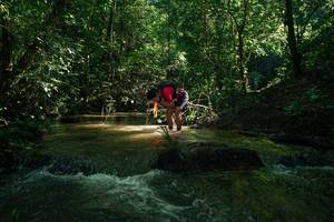 BIB: 
                            <button type="button" onclick="openModal(26784177)" class="btn btn-primary btn-sm float-right btn-popup" data-toggle="modal" data-target=".modal-high-quality">
                        <i class="fas fa-shopping-cart"></i> Add to Cart
                    </button>
                                            <button type="button" onclick="isThisMe(26784177, true)" class="btn btn-success btn-sm float-right btn-popup btn-isme hidden" data-toggle="tooltip" data-placement="bottom" title="นี่คือรูปของคุณใช่ไหม คลิกที่นี่เพื่อเอาเข้าอัลบั้ม">
                        <i class="fas fa-plus"></i> Add to album
                    </button>
                    <button type="button" onclick="isThisMe(26784177, false)" class="btn btn-warning btn-sm float-right btn-popup btn-isnotme hidden">
                        <i class="fas fa-ban"></i> Remove from album
                    </button>