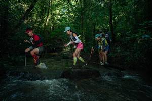 BIB: 
                            <button type="button" onclick="openModal(26785294)" class="btn btn-primary btn-sm float-right btn-popup" data-toggle="modal" data-target=".modal-high-quality">
                        <i class="fas fa-shopping-cart"></i> Add to Cart
                    </button>
                                            <button type="button" onclick="isThisMe(26785294, true)" class="btn btn-success btn-sm float-right btn-popup btn-isme hidden" data-toggle="tooltip" data-placement="bottom" title="นี่คือรูปของคุณใช่ไหม คลิกที่นี่เพื่อเอาเข้าอัลบั้ม">
                        <i class="fas fa-plus"></i> Add to album
                    </button>
                    <button type="button" onclick="isThisMe(26785294, false)" class="btn btn-warning btn-sm float-right btn-popup btn-isnotme hidden">
                        <i class="fas fa-ban"></i> Remove from album
                    </button>