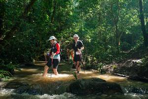 BIB: 
                            <button type="button" onclick="openModal(26783016)" class="btn btn-primary btn-sm float-right btn-popup" data-toggle="modal" data-target=".modal-high-quality">
                        <i class="fas fa-shopping-cart"></i> Add to Cart
                    </button>
                                            <button type="button" onclick="isThisMe(26783016, true)" class="btn btn-success btn-sm float-right btn-popup btn-isme hidden" data-toggle="tooltip" data-placement="bottom" title="นี่คือรูปของคุณใช่ไหม คลิกที่นี่เพื่อเอาเข้าอัลบั้ม">
                        <i class="fas fa-plus"></i> Add to album
                    </button>
                    <button type="button" onclick="isThisMe(26783016, false)" class="btn btn-warning btn-sm float-right btn-popup btn-isnotme hidden">
                        <i class="fas fa-ban"></i> Remove from album
                    </button>