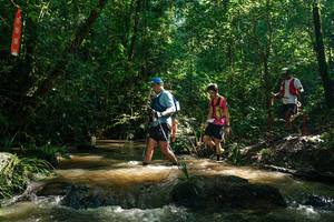 BIB: 
                            <button type="button" onclick="openModal(26783026)" class="btn btn-primary btn-sm float-right btn-popup" data-toggle="modal" data-target=".modal-high-quality">
                        <i class="fas fa-shopping-cart"></i> Add to Cart
                    </button>
                                            <button type="button" onclick="isThisMe(26783026, true)" class="btn btn-success btn-sm float-right btn-popup btn-isme hidden" data-toggle="tooltip" data-placement="bottom" title="นี่คือรูปของคุณใช่ไหม คลิกที่นี่เพื่อเอาเข้าอัลบั้ม">
                        <i class="fas fa-plus"></i> Add to album
                    </button>
                    <button type="button" onclick="isThisMe(26783026, false)" class="btn btn-warning btn-sm float-right btn-popup btn-isnotme hidden">
                        <i class="fas fa-ban"></i> Remove from album
                    </button>