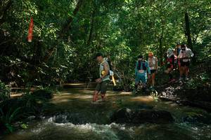 BIB: 
                            <button type="button" onclick="openModal(26783640)" class="btn btn-primary btn-sm float-right btn-popup" data-toggle="modal" data-target=".modal-high-quality">
                        <i class="fas fa-shopping-cart"></i> Add to Cart
                    </button>
                                            <button type="button" onclick="isThisMe(26783640, true)" class="btn btn-success btn-sm float-right btn-popup btn-isme hidden" data-toggle="tooltip" data-placement="bottom" title="นี่คือรูปของคุณใช่ไหม คลิกที่นี่เพื่อเอาเข้าอัลบั้ม">
                        <i class="fas fa-plus"></i> Add to album
                    </button>
                    <button type="button" onclick="isThisMe(26783640, false)" class="btn btn-warning btn-sm float-right btn-popup btn-isnotme hidden">
                        <i class="fas fa-ban"></i> Remove from album
                    </button>