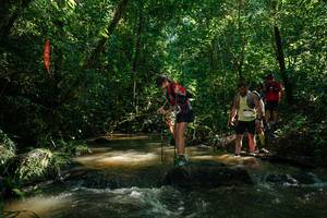 BIB: 
                            <button type="button" onclick="openModal(26783129)" class="btn btn-primary btn-sm float-right btn-popup" data-toggle="modal" data-target=".modal-high-quality">
                        <i class="fas fa-shopping-cart"></i> Add to Cart
                    </button>
                                            <button type="button" onclick="isThisMe(26783129, true)" class="btn btn-success btn-sm float-right btn-popup btn-isme hidden" data-toggle="tooltip" data-placement="bottom" title="นี่คือรูปของคุณใช่ไหม คลิกที่นี่เพื่อเอาเข้าอัลบั้ม">
                        <i class="fas fa-plus"></i> Add to album
                    </button>
                    <button type="button" onclick="isThisMe(26783129, false)" class="btn btn-warning btn-sm float-right btn-popup btn-isnotme hidden">
                        <i class="fas fa-ban"></i> Remove from album
                    </button>