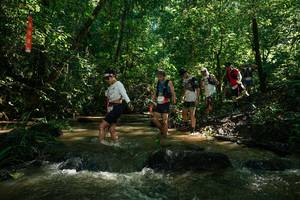 BIB: 
                            <button type="button" onclick="openModal(26783681)" class="btn btn-primary btn-sm float-right btn-popup" data-toggle="modal" data-target=".modal-high-quality">
                        <i class="fas fa-shopping-cart"></i> Add to Cart
                    </button>
                                            <button type="button" onclick="isThisMe(26783681, true)" class="btn btn-success btn-sm float-right btn-popup btn-isme hidden" data-toggle="tooltip" data-placement="bottom" title="นี่คือรูปของคุณใช่ไหม คลิกที่นี่เพื่อเอาเข้าอัลบั้ม">
                        <i class="fas fa-plus"></i> Add to album
                    </button>
                    <button type="button" onclick="isThisMe(26783681, false)" class="btn btn-warning btn-sm float-right btn-popup btn-isnotme hidden">
                        <i class="fas fa-ban"></i> Remove from album
                    </button>