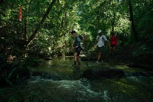 BIB: 
                            <button type="button" onclick="openModal(26784649)" class="btn btn-primary btn-sm float-right btn-popup" data-toggle="modal" data-target=".modal-high-quality">
                        <i class="fas fa-shopping-cart"></i> Add to Cart
                    </button>
                                            <button type="button" onclick="isThisMe(26784649, true)" class="btn btn-success btn-sm float-right btn-popup btn-isme hidden" data-toggle="tooltip" data-placement="bottom" title="นี่คือรูปของคุณใช่ไหม คลิกที่นี่เพื่อเอาเข้าอัลบั้ม">
                        <i class="fas fa-plus"></i> Add to album
                    </button>
                    <button type="button" onclick="isThisMe(26784649, false)" class="btn btn-warning btn-sm float-right btn-popup btn-isnotme hidden">
                        <i class="fas fa-ban"></i> Remove from album
                    </button>