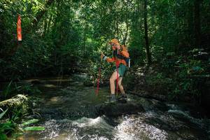 BIB: 
                            <button type="button" onclick="openModal(26685157)" class="btn btn-primary btn-sm float-right btn-popup" data-toggle="modal" data-target=".modal-high-quality">
                        <i class="fas fa-shopping-cart"></i> Add to Cart
                    </button>
                                            <button type="button" onclick="isThisMe(26685157, true)" class="btn btn-success btn-sm float-right btn-popup btn-isme hidden" data-toggle="tooltip" data-placement="bottom" title="นี่คือรูปของคุณใช่ไหม คลิกที่นี่เพื่อเอาเข้าอัลบั้ม">
                        <i class="fas fa-plus"></i> Add to album
                    </button>
                    <button type="button" onclick="isThisMe(26685157, false)" class="btn btn-warning btn-sm float-right btn-popup btn-isnotme hidden">
                        <i class="fas fa-ban"></i> Remove from album
                    </button>