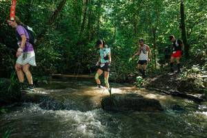 BIB: 
                            <button type="button" onclick="openModal(26779745)" class="btn btn-primary btn-sm float-right btn-popup" data-toggle="modal" data-target=".modal-high-quality">
                        <i class="fas fa-shopping-cart"></i> Add to Cart
                    </button>
                                            <button type="button" onclick="isThisMe(26779745, true)" class="btn btn-success btn-sm float-right btn-popup btn-isme hidden" data-toggle="tooltip" data-placement="bottom" title="นี่คือรูปของคุณใช่ไหม คลิกที่นี่เพื่อเอาเข้าอัลบั้ม">
                        <i class="fas fa-plus"></i> Add to album
                    </button>
                    <button type="button" onclick="isThisMe(26779745, false)" class="btn btn-warning btn-sm float-right btn-popup btn-isnotme hidden">
                        <i class="fas fa-ban"></i> Remove from album
                    </button>