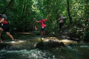 BIB: 
                            <button type="button" onclick="openModal(26779131)" class="btn btn-primary btn-sm float-right btn-popup" data-toggle="modal" data-target=".modal-high-quality">
                        <i class="fas fa-shopping-cart"></i> Add to Cart
                    </button>
                                            <button type="button" onclick="isThisMe(26779131, true)" class="btn btn-success btn-sm float-right btn-popup btn-isme hidden" data-toggle="tooltip" data-placement="bottom" title="นี่คือรูปของคุณใช่ไหม คลิกที่นี่เพื่อเอาเข้าอัลบั้ม">
                        <i class="fas fa-plus"></i> Add to album
                    </button>
                    <button type="button" onclick="isThisMe(26779131, false)" class="btn btn-warning btn-sm float-right btn-popup btn-isnotme hidden">
                        <i class="fas fa-ban"></i> Remove from album
                    </button>