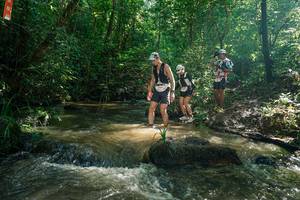 BIB: 
                            <button type="button" onclick="openModal(26781917)" class="btn btn-primary btn-sm float-right btn-popup" data-toggle="modal" data-target=".modal-high-quality">
                        <i class="fas fa-shopping-cart"></i> Add to Cart
                    </button>
                                            <button type="button" onclick="isThisMe(26781917, true)" class="btn btn-success btn-sm float-right btn-popup btn-isme hidden" data-toggle="tooltip" data-placement="bottom" title="นี่คือรูปของคุณใช่ไหม คลิกที่นี่เพื่อเอาเข้าอัลบั้ม">
                        <i class="fas fa-plus"></i> Add to album
                    </button>
                    <button type="button" onclick="isThisMe(26781917, false)" class="btn btn-warning btn-sm float-right btn-popup btn-isnotme hidden">
                        <i class="fas fa-ban"></i> Remove from album
                    </button>