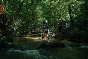 BIB: 
                            <button type="button" onclick="openModal(26784130)" class="btn btn-primary btn-sm float-right btn-popup" data-toggle="modal" data-target=".modal-high-quality">
                        <i class="fas fa-shopping-cart"></i> Add to Cart
                    </button>
                                            <button type="button" onclick="isThisMe(26784130, true)" class="btn btn-success btn-sm float-right btn-popup btn-isme hidden" data-toggle="tooltip" data-placement="bottom" title="นี่คือรูปของคุณใช่ไหม คลิกที่นี่เพื่อเอาเข้าอัลบั้ม">
                        <i class="fas fa-plus"></i> Add to album
                    </button>
                    <button type="button" onclick="isThisMe(26784130, false)" class="btn btn-warning btn-sm float-right btn-popup btn-isnotme hidden">
                        <i class="fas fa-ban"></i> Remove from album
                    </button>