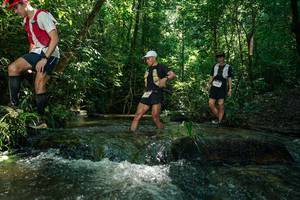 BIB: 
                            <button type="button" onclick="openModal(26697639)" class="btn btn-primary btn-sm float-right btn-popup" data-toggle="modal" data-target=".modal-high-quality">
                        <i class="fas fa-shopping-cart"></i> Add to Cart
                    </button>
                                            <button type="button" onclick="isThisMe(26697639, true)" class="btn btn-success btn-sm float-right btn-popup btn-isme hidden" data-toggle="tooltip" data-placement="bottom" title="นี่คือรูปของคุณใช่ไหม คลิกที่นี่เพื่อเอาเข้าอัลบั้ม">
                        <i class="fas fa-plus"></i> Add to album
                    </button>
                    <button type="button" onclick="isThisMe(26697639, false)" class="btn btn-warning btn-sm float-right btn-popup btn-isnotme hidden">
                        <i class="fas fa-ban"></i> Remove from album
                    </button>