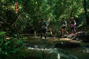 BIB: 
                            <button type="button" onclick="openModal(26783745)" class="btn btn-primary btn-sm float-right btn-popup" data-toggle="modal" data-target=".modal-high-quality">
                        <i class="fas fa-shopping-cart"></i> Add to Cart
                    </button>
                                            <button type="button" onclick="isThisMe(26783745, true)" class="btn btn-success btn-sm float-right btn-popup btn-isme hidden" data-toggle="tooltip" data-placement="bottom" title="นี่คือรูปของคุณใช่ไหม คลิกที่นี่เพื่อเอาเข้าอัลบั้ม">
                        <i class="fas fa-plus"></i> Add to album
                    </button>
                    <button type="button" onclick="isThisMe(26783745, false)" class="btn btn-warning btn-sm float-right btn-popup btn-isnotme hidden">
                        <i class="fas fa-ban"></i> Remove from album
                    </button>