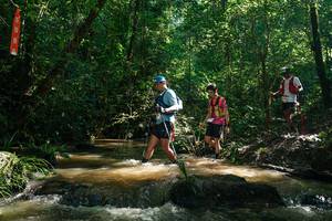 BIB: 
                            <button type="button" onclick="openModal(26783027)" class="btn btn-primary btn-sm float-right btn-popup" data-toggle="modal" data-target=".modal-high-quality">
                        <i class="fas fa-shopping-cart"></i> Add to Cart
                    </button>
                                            <button type="button" onclick="isThisMe(26783027, true)" class="btn btn-success btn-sm float-right btn-popup btn-isme hidden" data-toggle="tooltip" data-placement="bottom" title="นี่คือรูปของคุณใช่ไหม คลิกที่นี่เพื่อเอาเข้าอัลบั้ม">
                        <i class="fas fa-plus"></i> Add to album
                    </button>
                    <button type="button" onclick="isThisMe(26783027, false)" class="btn btn-warning btn-sm float-right btn-popup btn-isnotme hidden">
                        <i class="fas fa-ban"></i> Remove from album
                    </button>