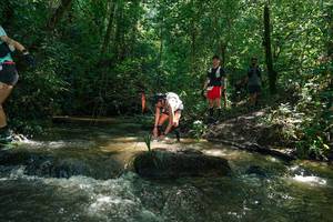 BIB: 
                            <button type="button" onclick="openModal(26779764)" class="btn btn-primary btn-sm float-right btn-popup" data-toggle="modal" data-target=".modal-high-quality">
                        <i class="fas fa-shopping-cart"></i> Add to Cart
                    </button>
                                            <button type="button" onclick="isThisMe(26779764, true)" class="btn btn-success btn-sm float-right btn-popup btn-isme hidden" data-toggle="tooltip" data-placement="bottom" title="นี่คือรูปของคุณใช่ไหม คลิกที่นี่เพื่อเอาเข้าอัลบั้ม">
                        <i class="fas fa-plus"></i> Add to album
                    </button>
                    <button type="button" onclick="isThisMe(26779764, false)" class="btn btn-warning btn-sm float-right btn-popup btn-isnotme hidden">
                        <i class="fas fa-ban"></i> Remove from album
                    </button>