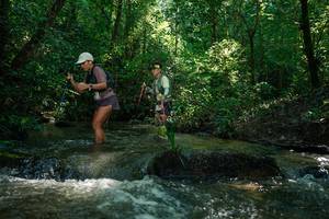 BIB: 
                            <button type="button" onclick="openModal(26778138)" class="btn btn-primary btn-sm float-right btn-popup" data-toggle="modal" data-target=".modal-high-quality">
                        <i class="fas fa-shopping-cart"></i> Add to Cart
                    </button>
                                            <button type="button" onclick="isThisMe(26778138, true)" class="btn btn-success btn-sm float-right btn-popup btn-isme hidden" data-toggle="tooltip" data-placement="bottom" title="นี่คือรูปของคุณใช่ไหม คลิกที่นี่เพื่อเอาเข้าอัลบั้ม">
                        <i class="fas fa-plus"></i> Add to album
                    </button>
                    <button type="button" onclick="isThisMe(26778138, false)" class="btn btn-warning btn-sm float-right btn-popup btn-isnotme hidden">
                        <i class="fas fa-ban"></i> Remove from album
                    </button>