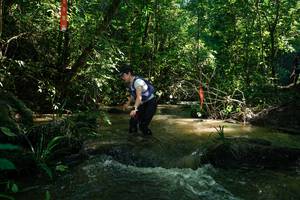 BIB: 
                            <button type="button" onclick="openModal(26784041)" class="btn btn-primary btn-sm float-right btn-popup" data-toggle="modal" data-target=".modal-high-quality">
                        <i class="fas fa-shopping-cart"></i> Add to Cart
                    </button>
                                            <button type="button" onclick="isThisMe(26784041, true)" class="btn btn-success btn-sm float-right btn-popup btn-isme hidden" data-toggle="tooltip" data-placement="bottom" title="นี่คือรูปของคุณใช่ไหม คลิกที่นี่เพื่อเอาเข้าอัลบั้ม">
                        <i class="fas fa-plus"></i> Add to album
                    </button>
                    <button type="button" onclick="isThisMe(26784041, false)" class="btn btn-warning btn-sm float-right btn-popup btn-isnotme hidden">
                        <i class="fas fa-ban"></i> Remove from album
                    </button>