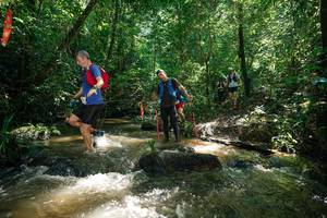 BIB: 
                            <button type="button" onclick="openModal(26782347)" class="btn btn-primary btn-sm float-right btn-popup" data-toggle="modal" data-target=".modal-high-quality">
                        <i class="fas fa-shopping-cart"></i> Add to Cart
                    </button>
                                            <button type="button" onclick="isThisMe(26782347, true)" class="btn btn-success btn-sm float-right btn-popup btn-isme hidden" data-toggle="tooltip" data-placement="bottom" title="นี่คือรูปของคุณใช่ไหม คลิกที่นี่เพื่อเอาเข้าอัลบั้ม">
                        <i class="fas fa-plus"></i> Add to album
                    </button>
                    <button type="button" onclick="isThisMe(26782347, false)" class="btn btn-warning btn-sm float-right btn-popup btn-isnotme hidden">
                        <i class="fas fa-ban"></i> Remove from album
                    </button>