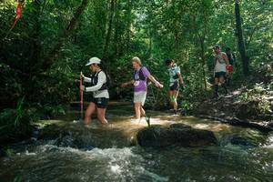 BIB: 
                            <button type="button" onclick="openModal(26779725)" class="btn btn-primary btn-sm float-right btn-popup" data-toggle="modal" data-target=".modal-high-quality">
                        <i class="fas fa-shopping-cart"></i> Add to Cart
                    </button>
                                            <button type="button" onclick="isThisMe(26779725, true)" class="btn btn-success btn-sm float-right btn-popup btn-isme hidden" data-toggle="tooltip" data-placement="bottom" title="นี่คือรูปของคุณใช่ไหม คลิกที่นี่เพื่อเอาเข้าอัลบั้ม">
                        <i class="fas fa-plus"></i> Add to album
                    </button>
                    <button type="button" onclick="isThisMe(26779725, false)" class="btn btn-warning btn-sm float-right btn-popup btn-isnotme hidden">
                        <i class="fas fa-ban"></i> Remove from album
                    </button>