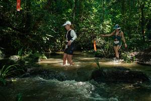 BIB: 
                            <button type="button" onclick="openModal(26783360)" class="btn btn-primary btn-sm float-right btn-popup" data-toggle="modal" data-target=".modal-high-quality">
                        <i class="fas fa-shopping-cart"></i> Add to Cart
                    </button>
                                            <button type="button" onclick="isThisMe(26783360, true)" class="btn btn-success btn-sm float-right btn-popup btn-isme hidden" data-toggle="tooltip" data-placement="bottom" title="นี่คือรูปของคุณใช่ไหม คลิกที่นี่เพื่อเอาเข้าอัลบั้ม">
                        <i class="fas fa-plus"></i> Add to album
                    </button>
                    <button type="button" onclick="isThisMe(26783360, false)" class="btn btn-warning btn-sm float-right btn-popup btn-isnotme hidden">
                        <i class="fas fa-ban"></i> Remove from album
                    </button>