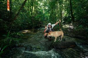 BIB: 
                            <button type="button" onclick="openModal(26678124)" class="btn btn-primary btn-sm float-right btn-popup" data-toggle="modal" data-target=".modal-high-quality">
                        <i class="fas fa-shopping-cart"></i> Add to Cart
                    </button>
                                            <button type="button" onclick="isThisMe(26678124, true)" class="btn btn-success btn-sm float-right btn-popup btn-isme hidden" data-toggle="tooltip" data-placement="bottom" title="นี่คือรูปของคุณใช่ไหม คลิกที่นี่เพื่อเอาเข้าอัลบั้ม">
                        <i class="fas fa-plus"></i> Add to album
                    </button>
                    <button type="button" onclick="isThisMe(26678124, false)" class="btn btn-warning btn-sm float-right btn-popup btn-isnotme hidden">
                        <i class="fas fa-ban"></i> Remove from album
                    </button>