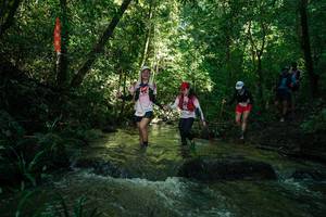 BIB: 
                            <button type="button" onclick="openModal(26784920)" class="btn btn-primary btn-sm float-right btn-popup" data-toggle="modal" data-target=".modal-high-quality">
                        <i class="fas fa-shopping-cart"></i> Add to Cart
                    </button>
                                            <button type="button" onclick="isThisMe(26784920, true)" class="btn btn-success btn-sm float-right btn-popup btn-isme hidden" data-toggle="tooltip" data-placement="bottom" title="นี่คือรูปของคุณใช่ไหม คลิกที่นี่เพื่อเอาเข้าอัลบั้ม">
                        <i class="fas fa-plus"></i> Add to album
                    </button>
                    <button type="button" onclick="isThisMe(26784920, false)" class="btn btn-warning btn-sm float-right btn-popup btn-isnotme hidden">
                        <i class="fas fa-ban"></i> Remove from album
                    </button>