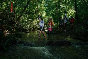 BIB: 
                            <button type="button" onclick="openModal(26784641)" class="btn btn-primary btn-sm float-right btn-popup" data-toggle="modal" data-target=".modal-high-quality">
                        <i class="fas fa-shopping-cart"></i> Add to Cart
                    </button>
                                            <button type="button" onclick="isThisMe(26784641, true)" class="btn btn-success btn-sm float-right btn-popup btn-isme hidden" data-toggle="tooltip" data-placement="bottom" title="นี่คือรูปของคุณใช่ไหม คลิกที่นี่เพื่อเอาเข้าอัลบั้ม">
                        <i class="fas fa-plus"></i> Add to album
                    </button>
                    <button type="button" onclick="isThisMe(26784641, false)" class="btn btn-warning btn-sm float-right btn-popup btn-isnotme hidden">
                        <i class="fas fa-ban"></i> Remove from album
                    </button>